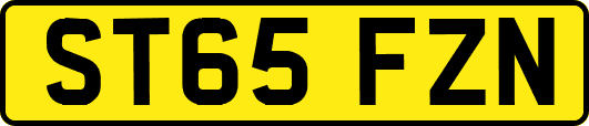 ST65FZN