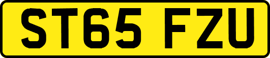 ST65FZU