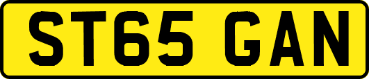 ST65GAN