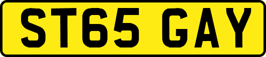 ST65GAY
