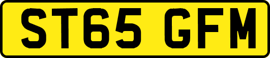 ST65GFM
