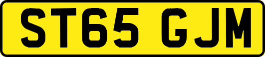 ST65GJM