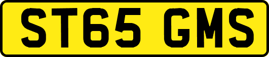 ST65GMS