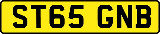 ST65GNB