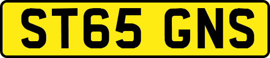 ST65GNS