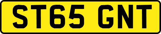 ST65GNT
