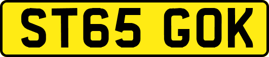 ST65GOK