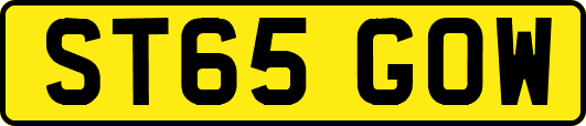 ST65GOW