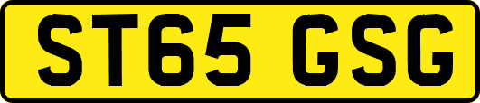 ST65GSG