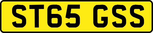 ST65GSS