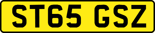 ST65GSZ