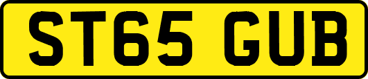 ST65GUB