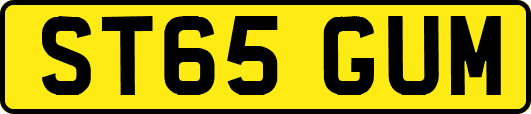 ST65GUM