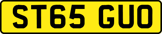 ST65GUO