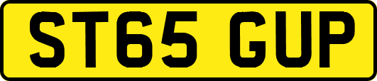 ST65GUP