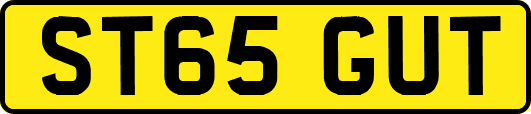 ST65GUT