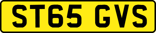ST65GVS