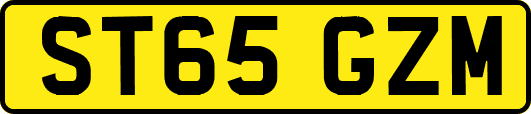 ST65GZM