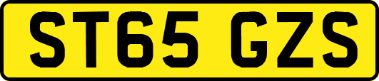 ST65GZS