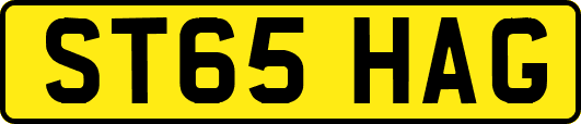 ST65HAG