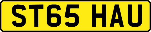 ST65HAU
