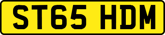 ST65HDM
