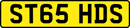 ST65HDS