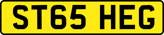 ST65HEG