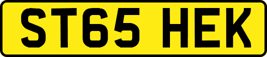 ST65HEK