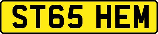 ST65HEM