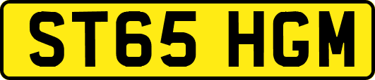 ST65HGM