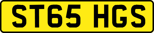 ST65HGS