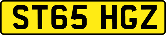 ST65HGZ