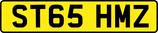 ST65HMZ