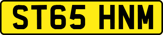 ST65HNM