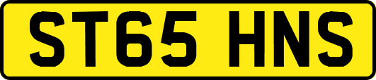 ST65HNS