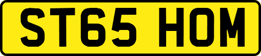 ST65HOM