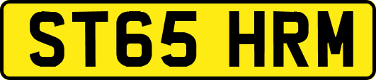 ST65HRM