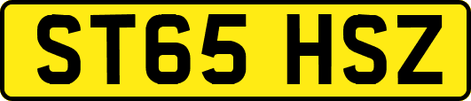 ST65HSZ