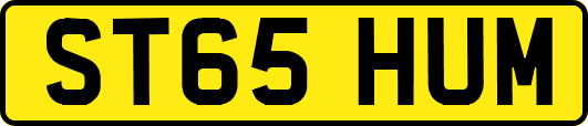 ST65HUM