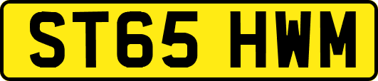 ST65HWM