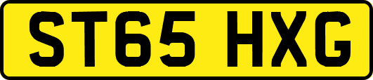 ST65HXG