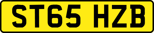 ST65HZB