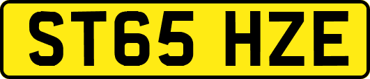 ST65HZE