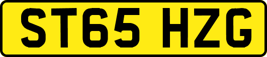 ST65HZG