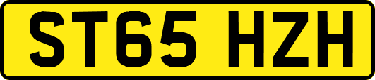 ST65HZH