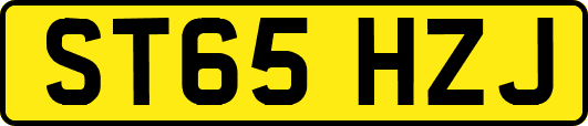 ST65HZJ