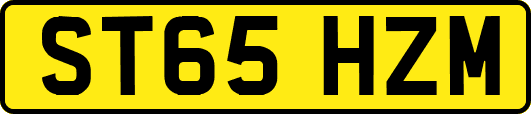 ST65HZM