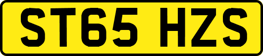 ST65HZS