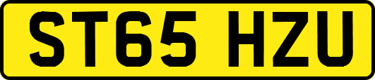 ST65HZU